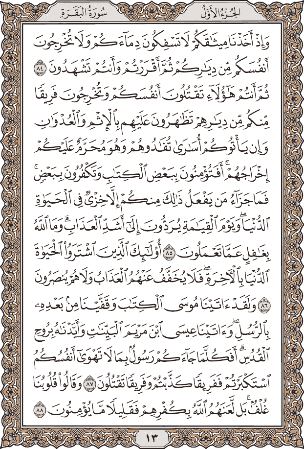 الصفحة مصورة  من القرآن الكريم 